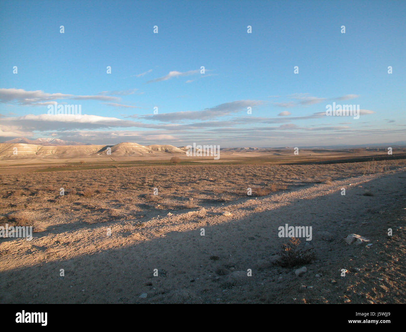 Paysage de steppe en hiver Banque D'Images