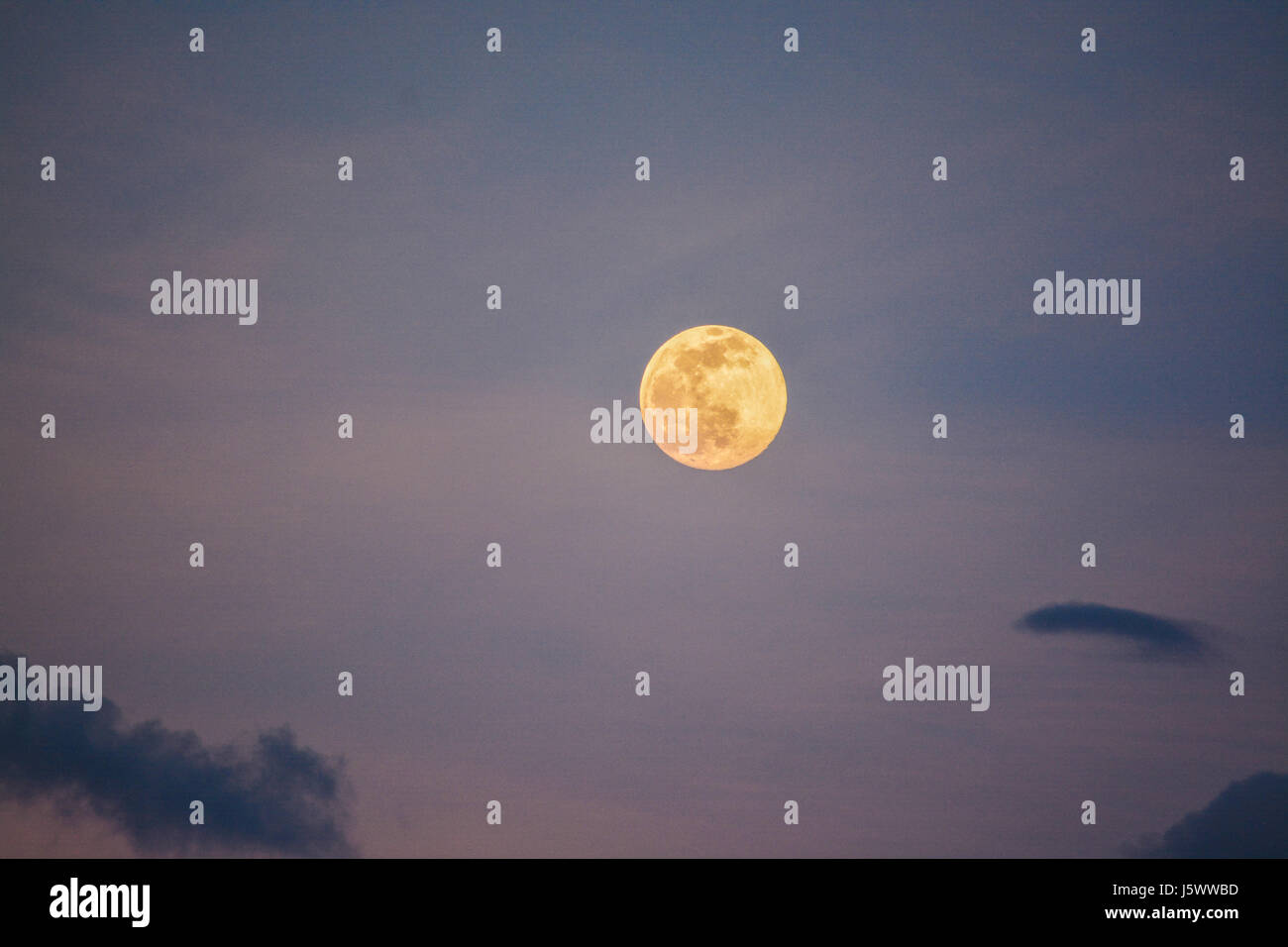 Pleine lune sur la baie de Tampa en Floride. Banque D'Images