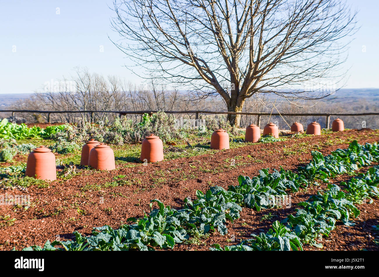 Charlottesville, USA - Le 20 janvier 2013 : potager sur mountain à Monticello, Thomas Jefferson's home Banque D'Images