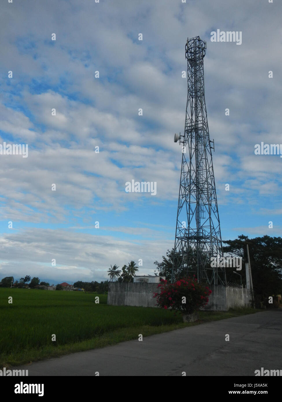 03673 rizières des prairies, des arbres et de l'irrigation Pulo Tabon San Isidro Nueva Ecija Road 33 Banque D'Images