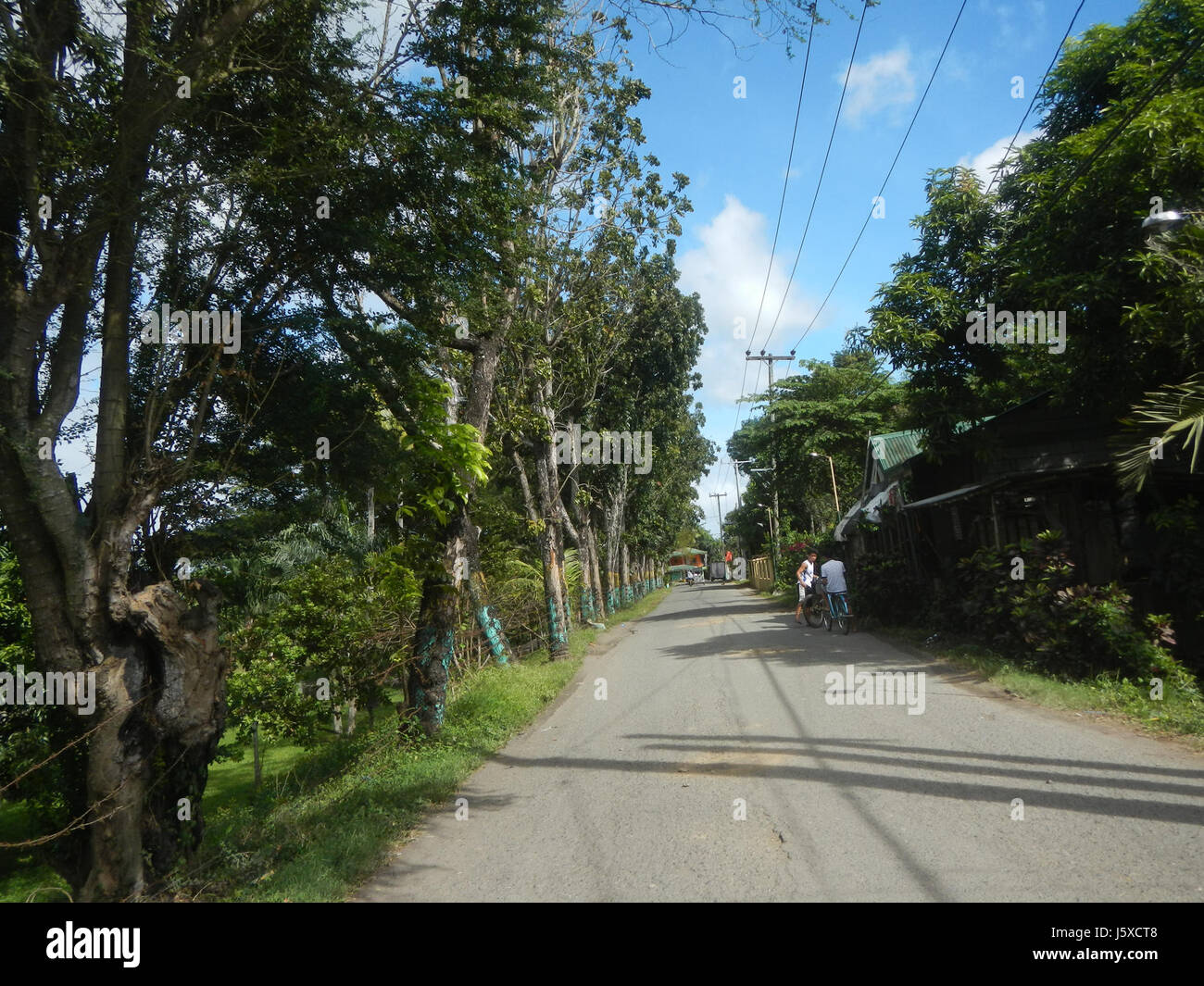 La route Sipat-Dampol Farm-to-Market à Plaridel, Bulacan, constitue un important projet d'infrastructure, améliorant la circulation des produits agricoles entre les zones rurales et les marchés. Banque D'Images