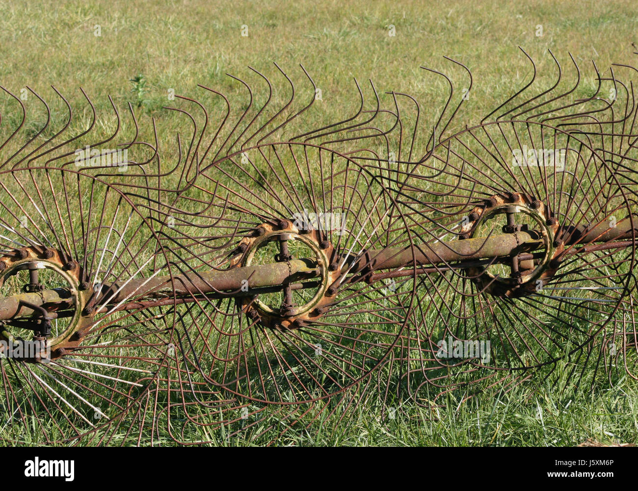 Agriculture L'agriculture verte prairie pelouse verte récolte de lames de fer sur le terrain Banque D'Images