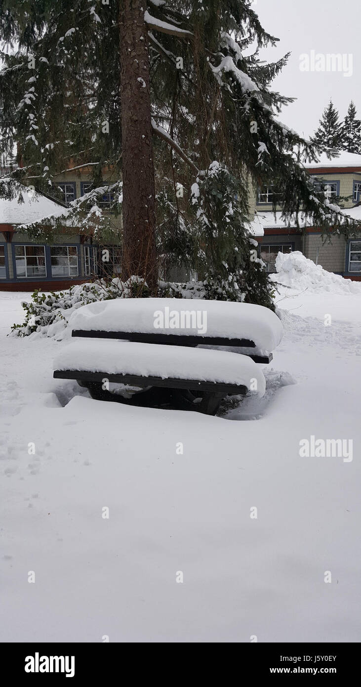 Photo 2017 -365edition (32669814781) Banque D'Images