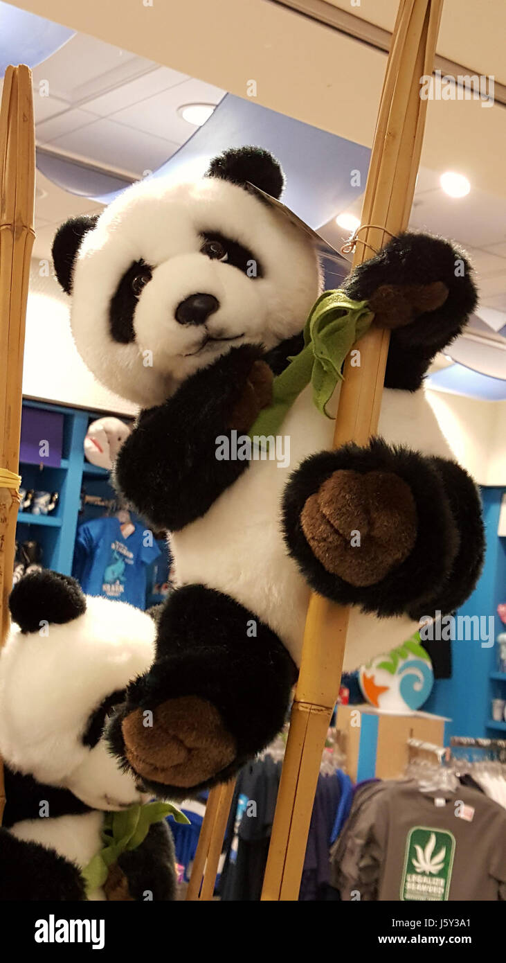 L'édition « -365photo 2017 » fait référence à une collection ou un projet photographique, probablement de l'année 2017. Ce projet peut impliquer la photographie quotidienne, capturant des moments de la vie quotidienne, des événements, ou des thèmes tout au long de l'année. Le numéro de référence spécifique (32230091713) peut concerner le catalogage ou l'identification d'images individuelles dans la collection. Banque D'Images