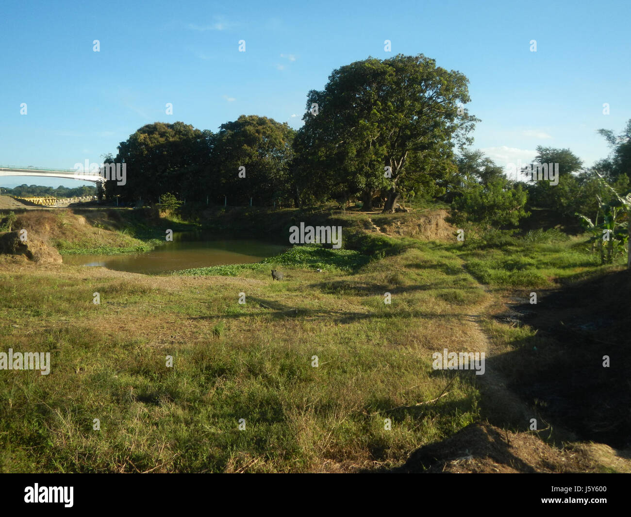 Rizières 01865 Tambubong Caingin dérivation d'artères, San Rafael, Bulacan 18 Banque D'Images