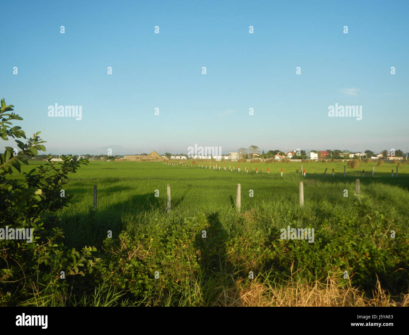 Ce titre fait référence à Daungan, un endroit à Tiaong, qui fait partie de la région de Guiguinto à Bulacan. La région présente des paysages ruraux et la vie de village, avec des monuments remarquables dans la région. Banque D'Images