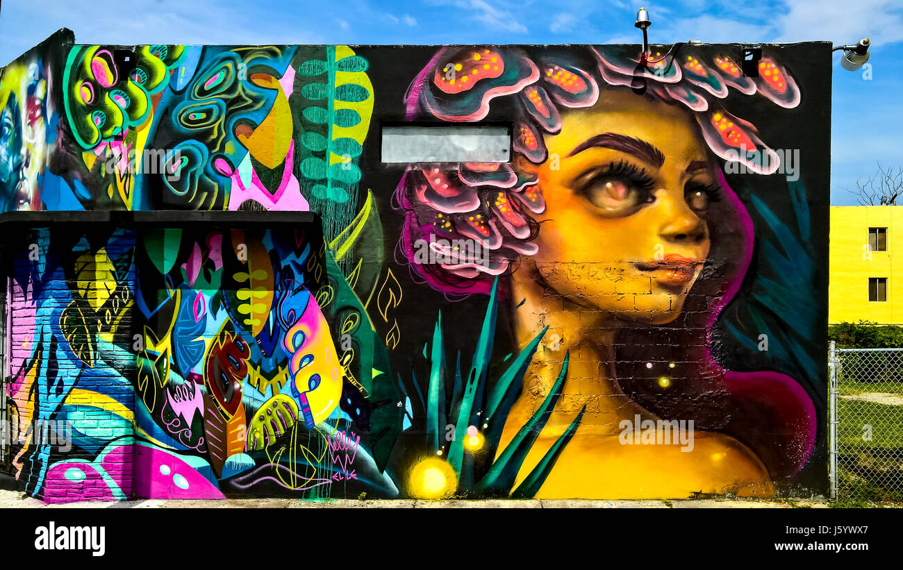 Façade Graffiti. Wynwood Art District. Miami. La Floride. USA Banque D'Images