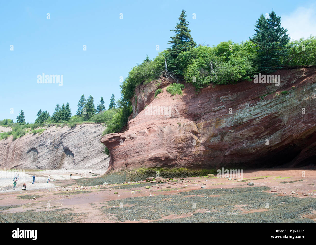 Le point de vue de Saint Martins, grottes de la mer la région célèbre pour ses marées extrêmes (Nouveau-Brunswick, Canada). Banque D'Images
