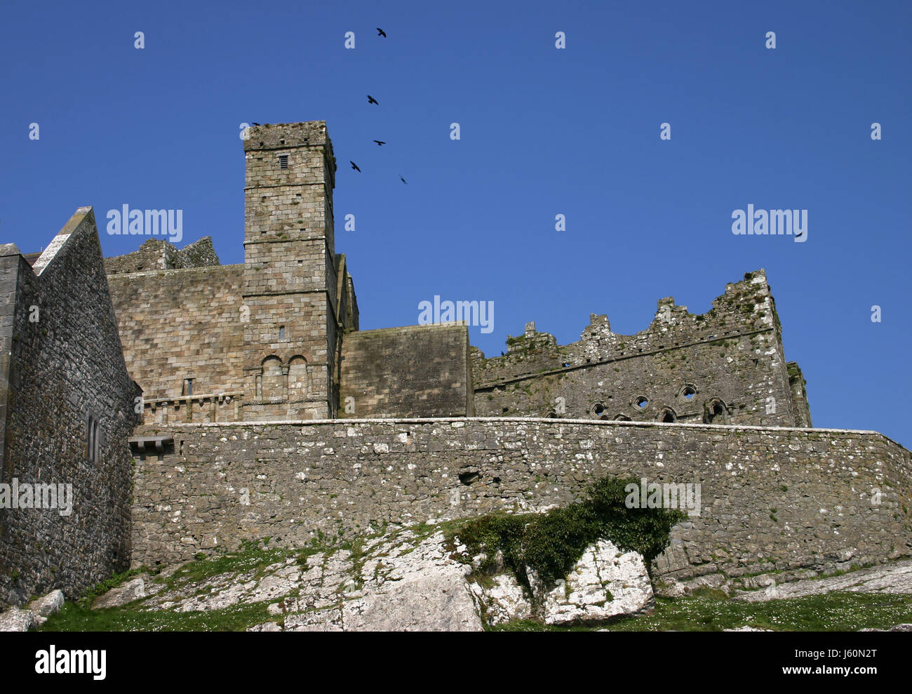 Ireland Irish forteresse château château histoire emblème historique tourisme voyage Banque D'Images