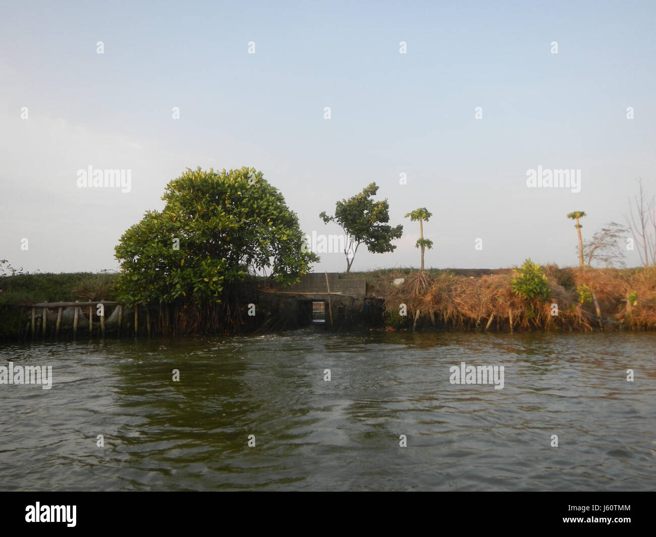 Les berges de Panasahan dans la ville de Malolos, Bulacan, sont essentielles à la gestion de l'eau et à l'agriculture de la région. Les zones environnantes sont impactées par la géographie locale et servent de zones importantes pour l'irrigation et l'agriculture. Banque D'Images