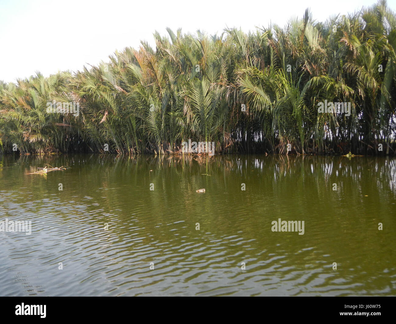 0368 Districts Rivière Malolos Atlag Calero 04 Panasahan Banque D'Images