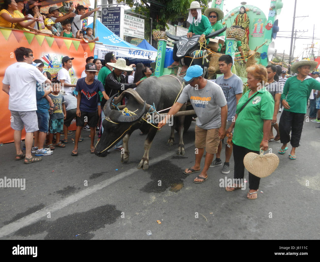 La Fiesta de la paroisse de San Isidro Labrador de 2017 à Pulilan, Bulacan, est célèbre pour son festival de genoux de Carabao, un événement religieux et culturel où les carabaos (buffles d'eau) s'agenouillent en l'honneur du saint patron, San Isidro Labrador. Cette tradition annuelle met en valeur la culture rurale philippine et la dévotion au saint. Banque D'Images