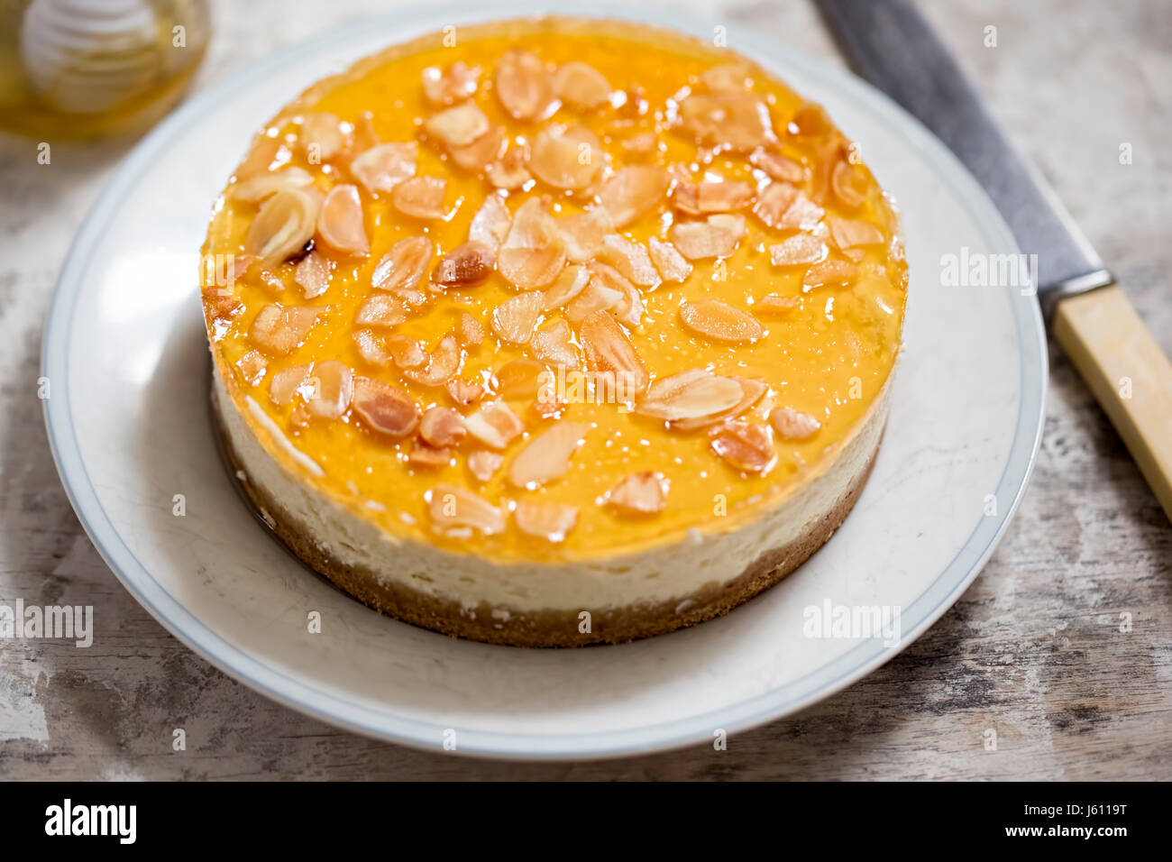 Le Miel Et Le Yaourt A La Grecque Cheesecake Photo Stock Alamy