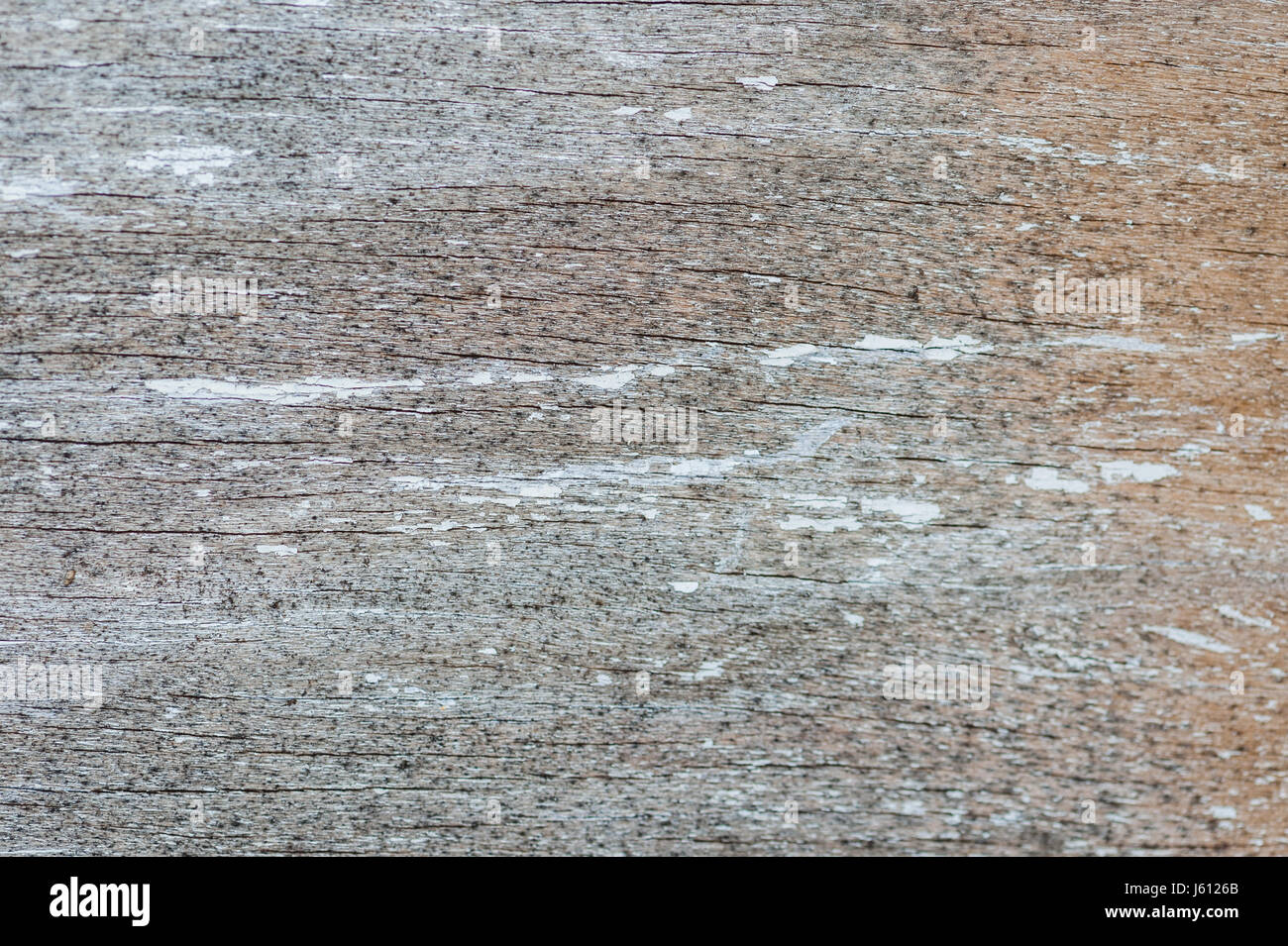 Personnes âgées, érodés et l'écaillage de la peinture sur un fond de surface. Banque D'Images