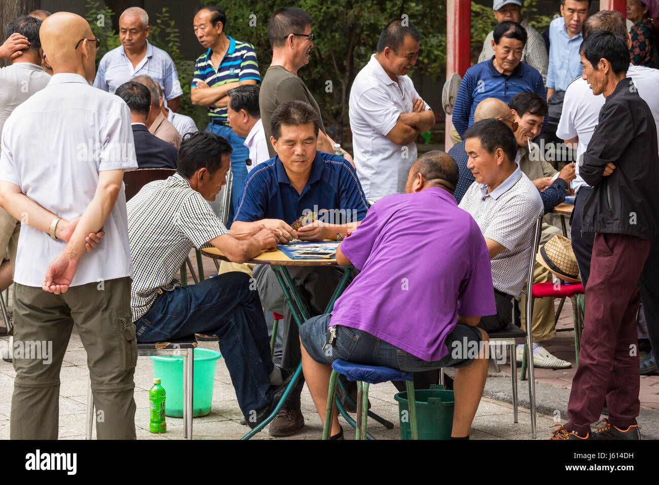 Les chinois des cartes à jouer, Yinchuan, Ningxia, Chine Banque D'Images