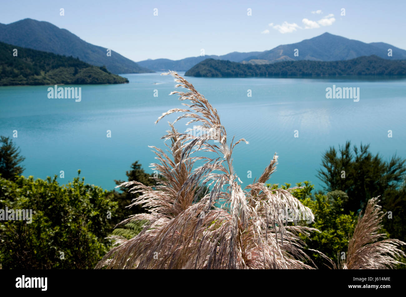 Voir l'île du Sud Nouvelle-zélande Marlborough Ocean Banque D'Images