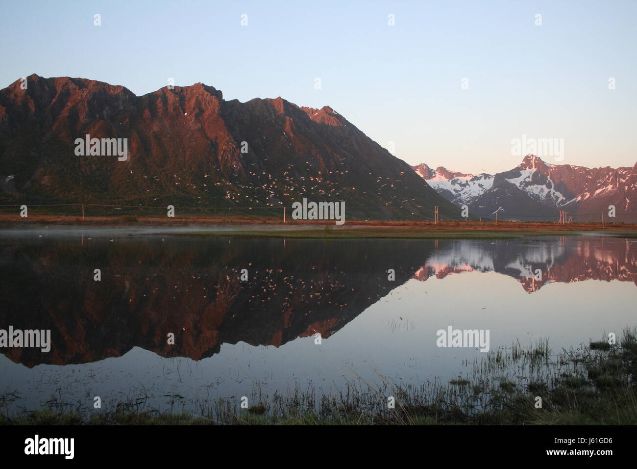 La mise en miroir de l'eau salée la norvège montagnes mer océan eau oiseaux oiseaux soirée rock Banque D'Images