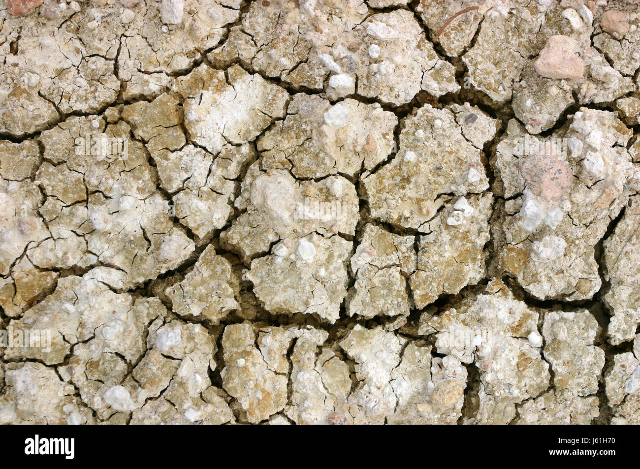 La sécheresse La sécheresse du désert désert plie de boue fissuré fissuré poêlé terre végétale Banque D'Images