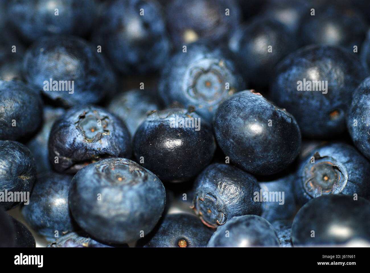 Aliment alimentaire fruit sucré myrtilles baies berry Bleu bleuet bleuets Banque D'Images