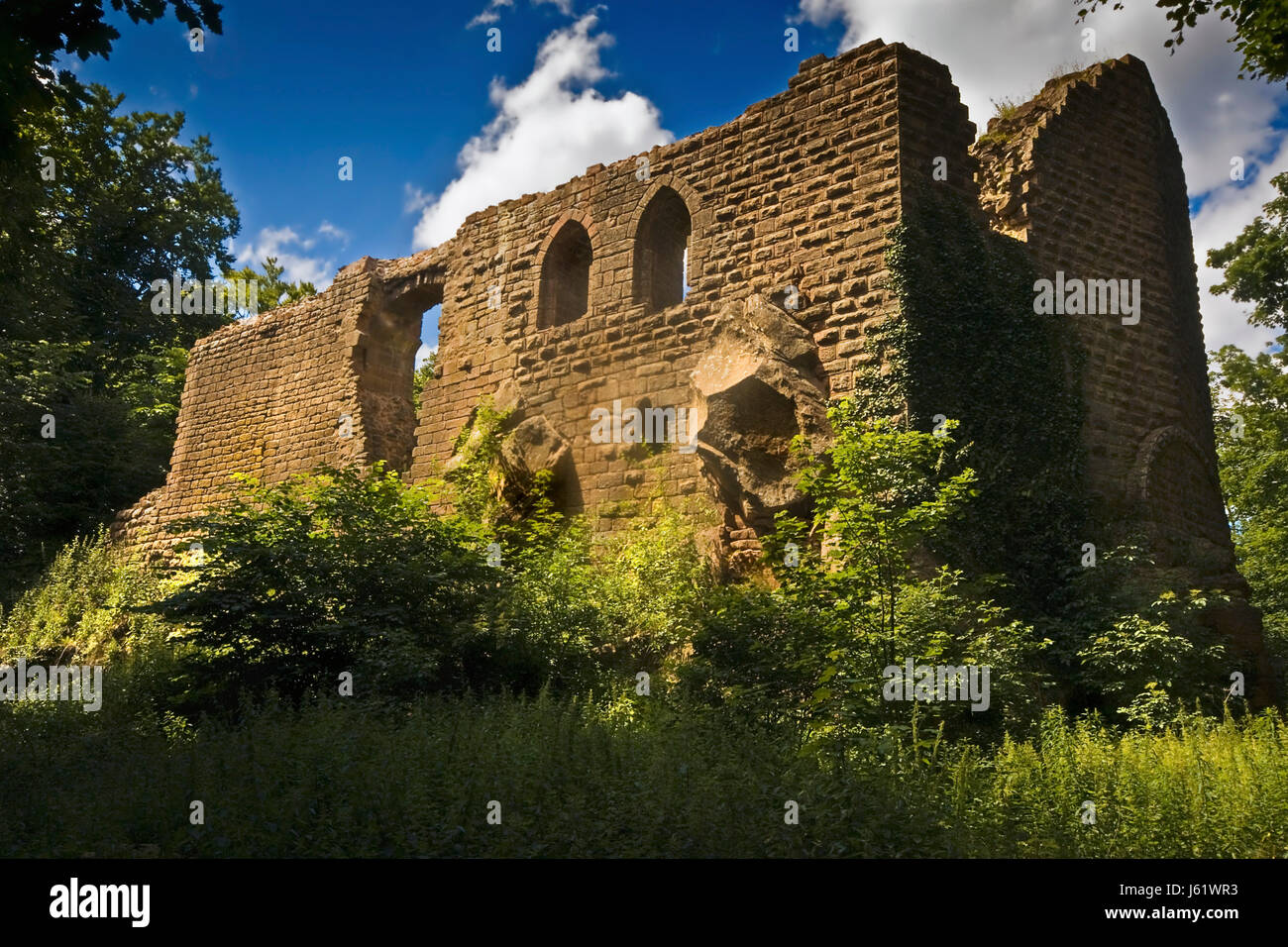 France Alsace ruine chateau château moyen âge oedlenbourg alsace france Banque D'Images