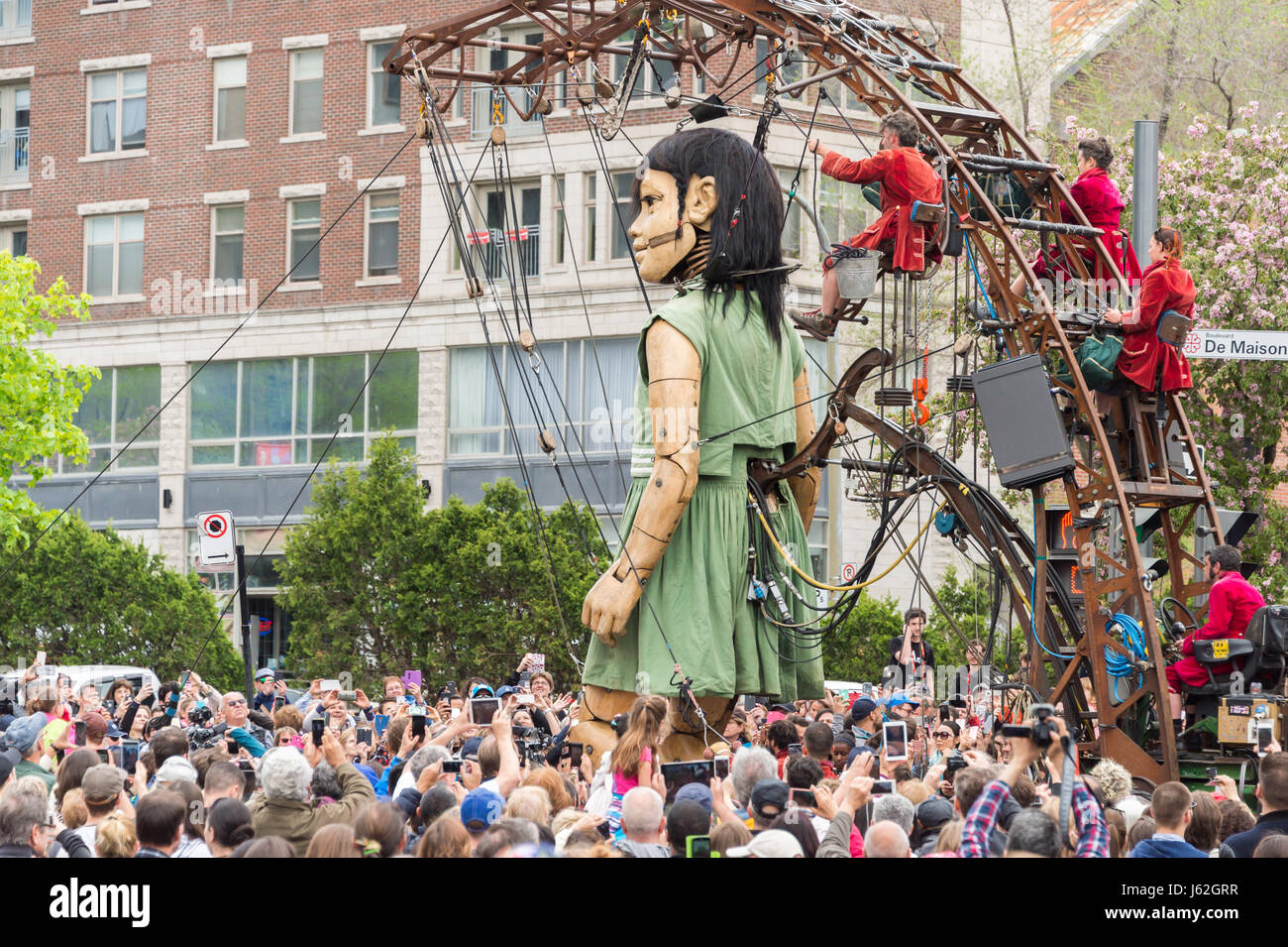 Montréal, Canada. 19 mai, 2017. Les Géants de Royal de Luxe dans le cadre de la commémoration du 375e anniversaire de Montréal Crédit : Marc Bruxelles/Alamy Live News Banque D'Images