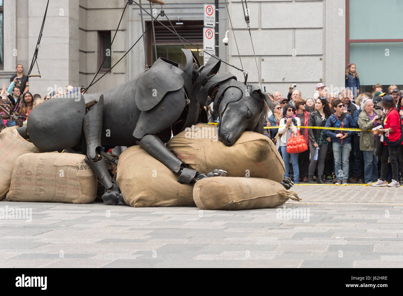 Montréal, Canada. 19 mai, 2017. Les Géants de Royal de Luxe dans le cadre de la commémoration du 375e anniversaire de Montréal Crédit : Marc Bruxelles/Alamy Live News Banque D'Images