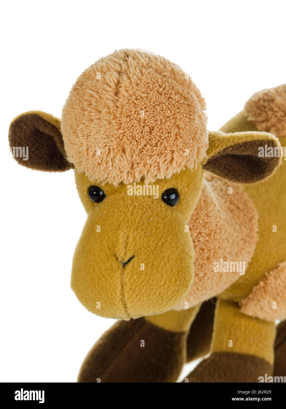 Peluche plush pet Teddy Bear doudou chameau dromadaire Maroc Tunisie désert souvenir sahara