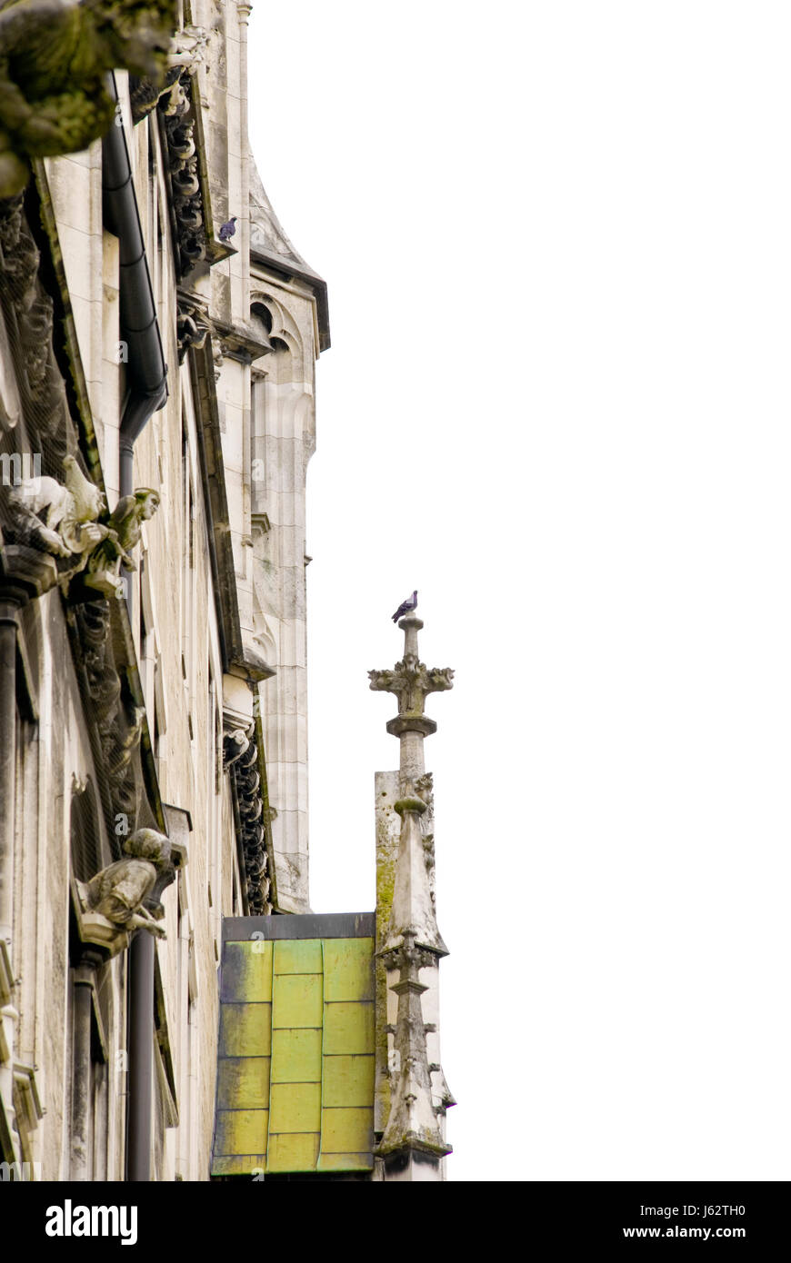 Visages de l'église croix de pierre pigeon toile fond fond animal blanc mousse munich Banque D'Images