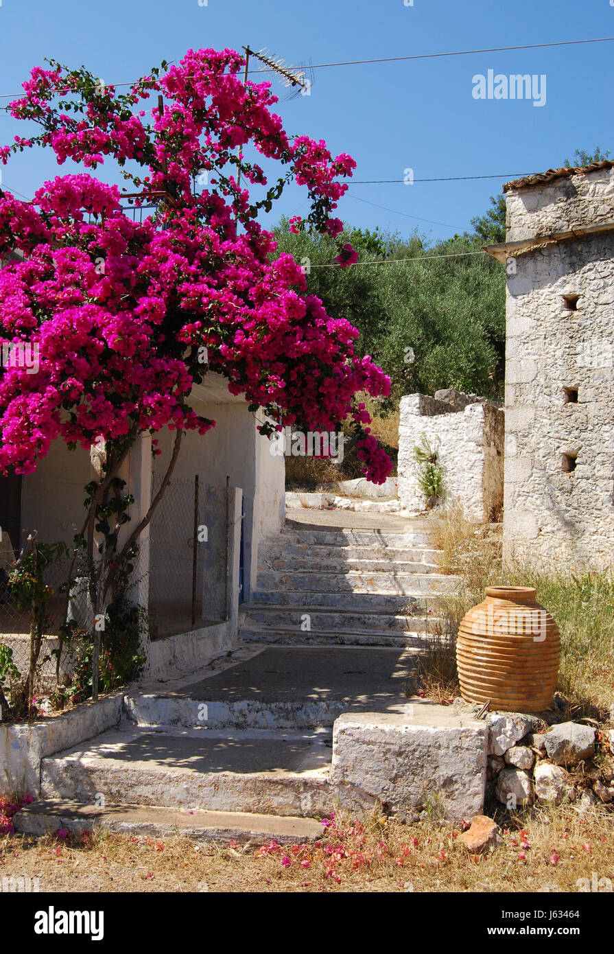 Escaliers Grèce greek fleur s'épanouir communauté florissante village market Banque D'Images