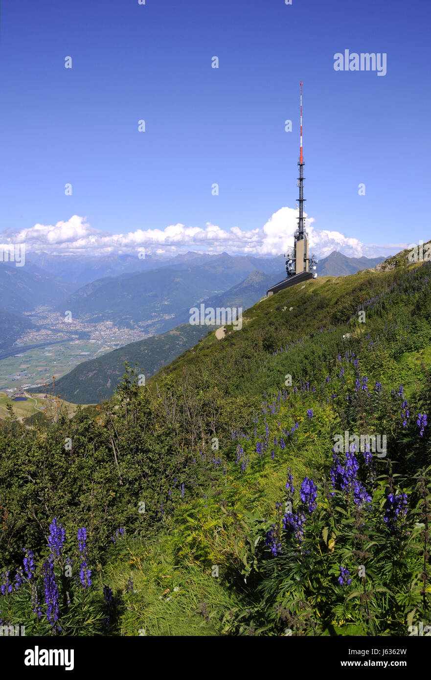 Tour de télévision Antenne miroir parabolique tour radio système de relais  radio tower Photo Stock - Alamy