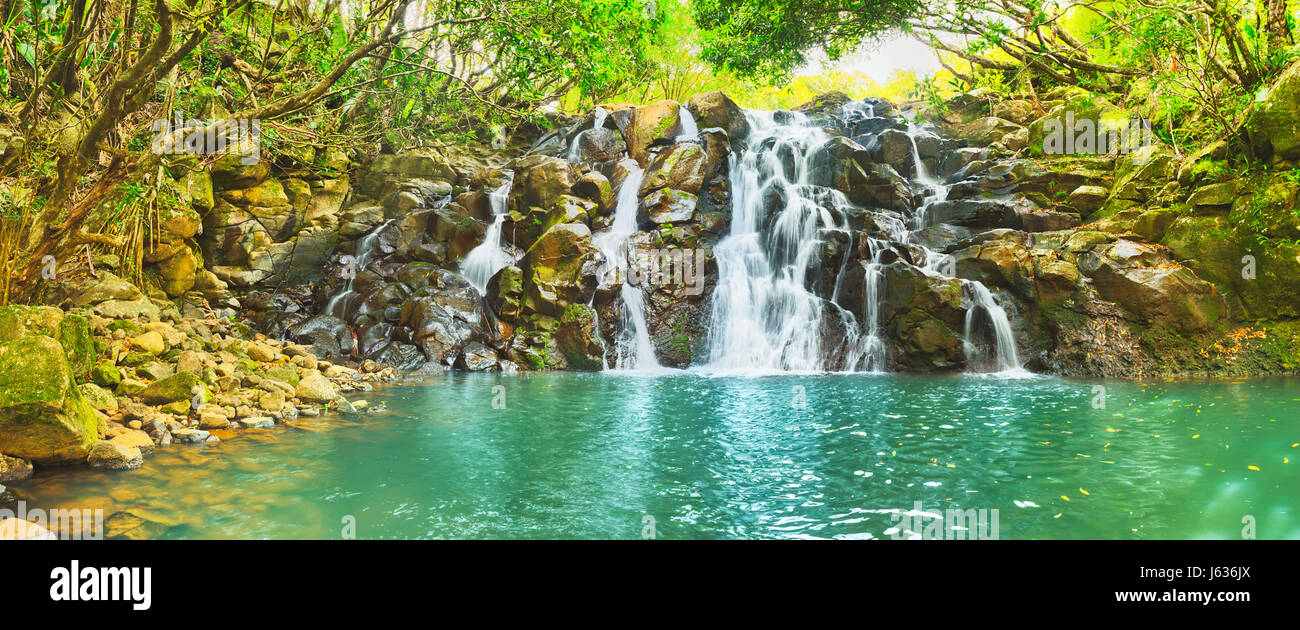 Cascade cascade pittoresque de Vacoas. L'île Maurice. Panorama Banque D'Images