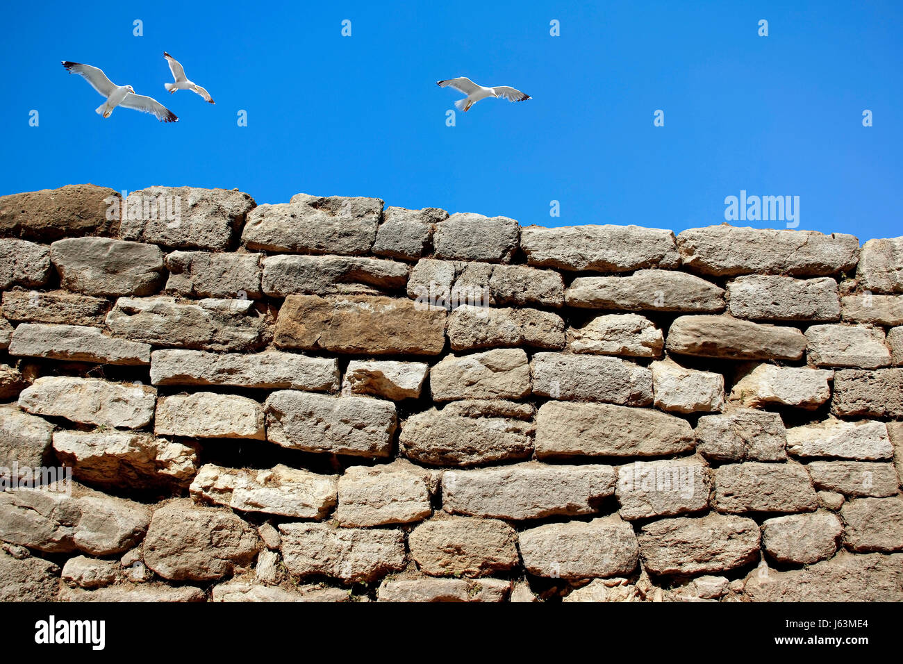 La liberté d'oiseaux de l'espace liberté Wall protect protection sécurité gull mouette libre Banque D'Images