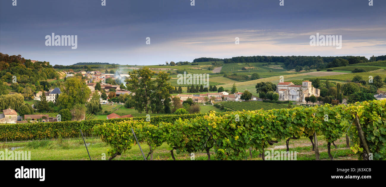 France, Charente, Bouteville, vignoble de Cognac et du village avec l'église Saint-Paul Banque D'Images