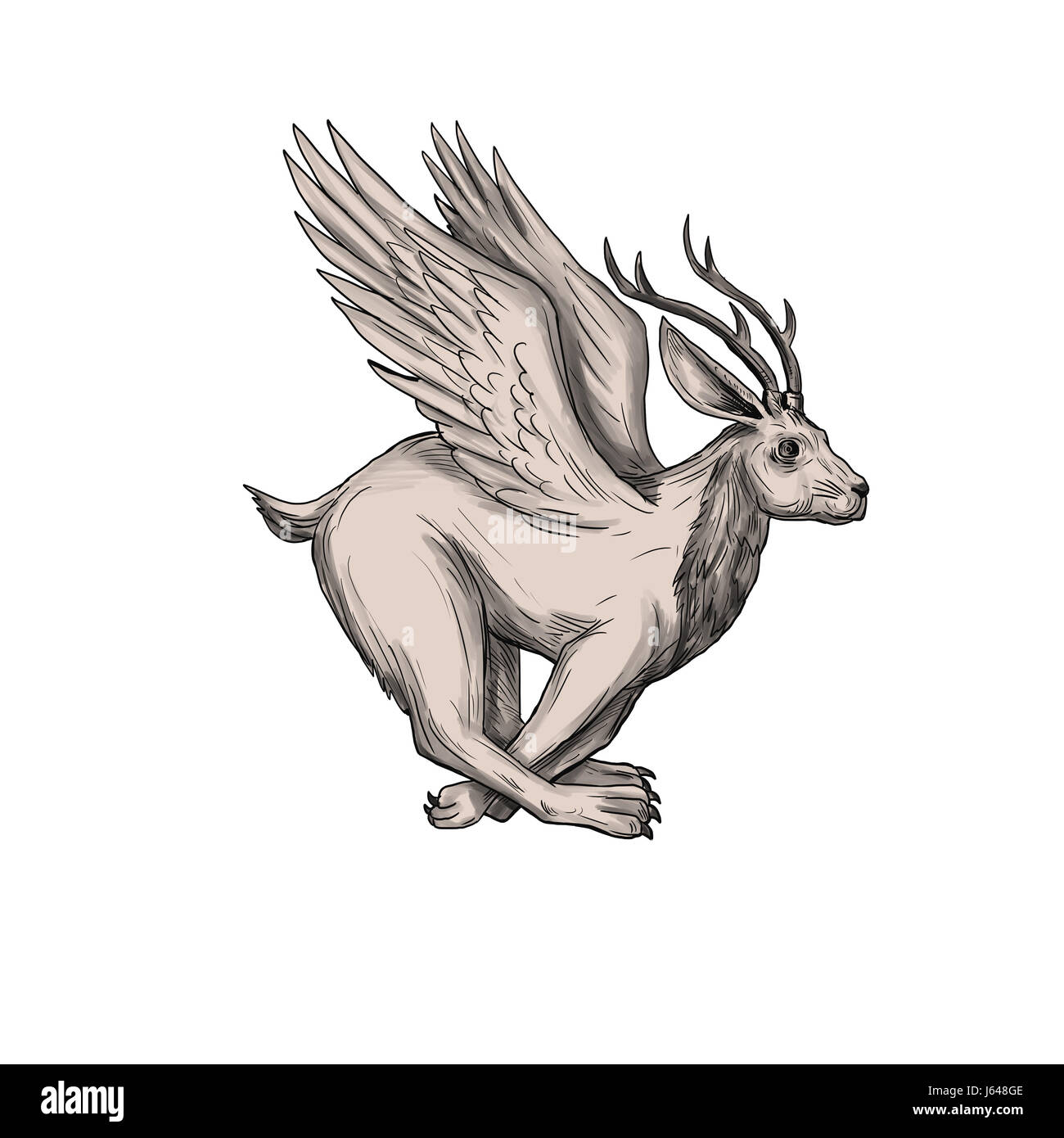 Illustration d'un style de tatouage, Wolpertinger bavarois dans le folklore, un lièvre mythique avec bois, crocs et wings running vu du côté situé sur i Banque D'Images