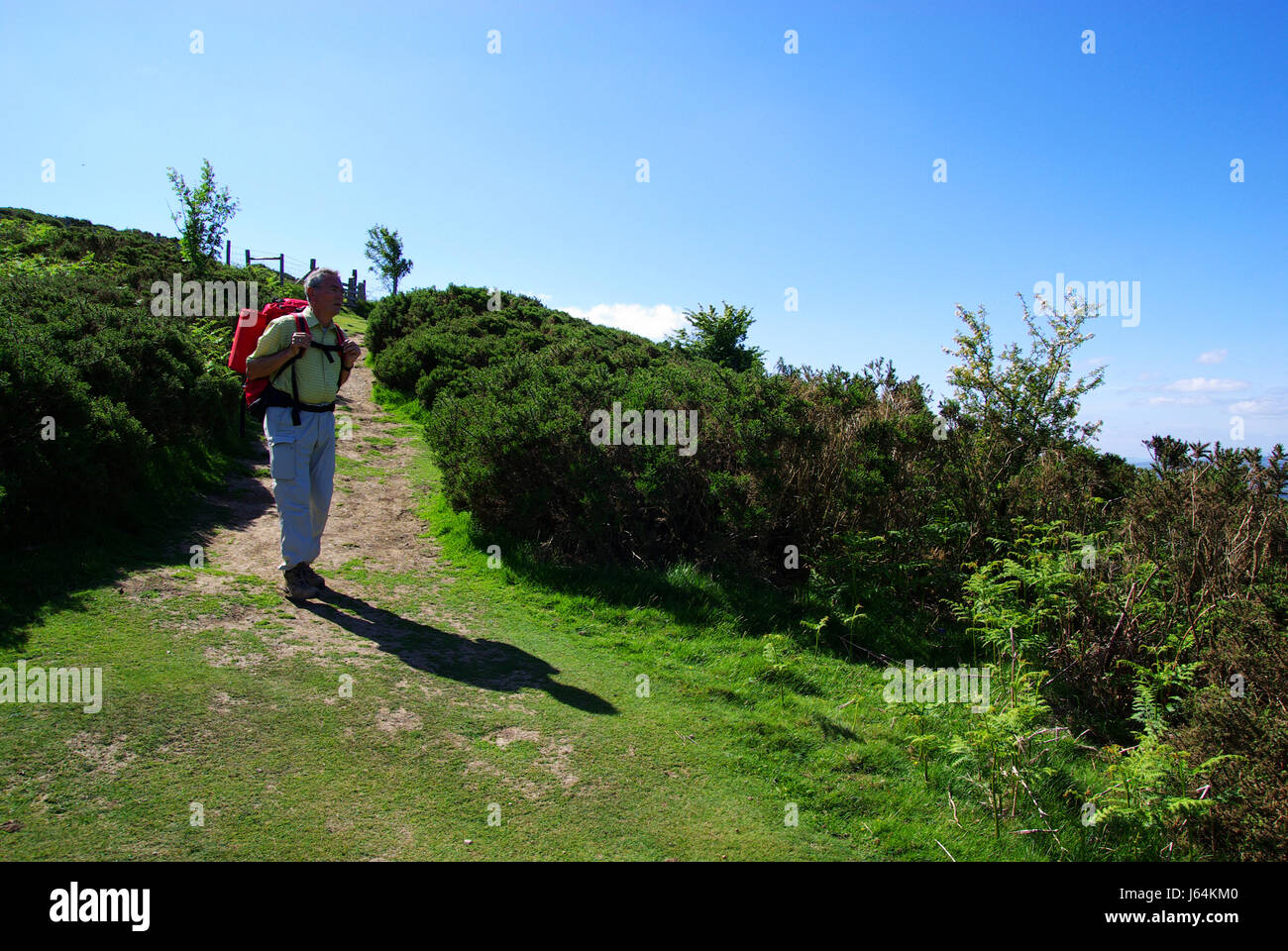 Aller à pied de la randonnée Randonnée marche va rambler randonnée marche nordique homme mobile Banque D'Images