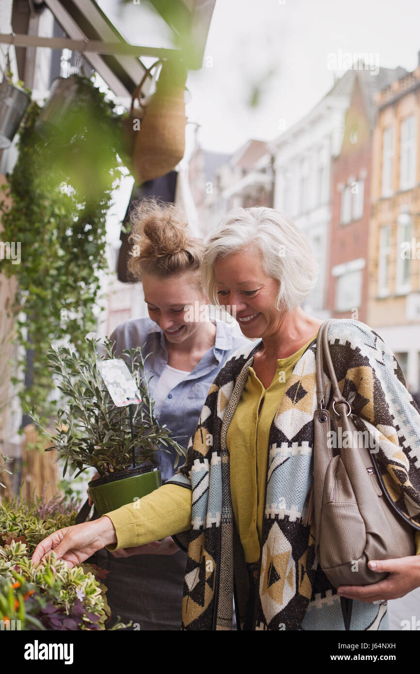 Female florist helping woman shopping pour les plantes en pots au storefront Banque D'Images