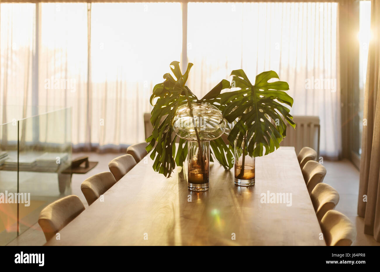 Les feuilles des plantes tropicales dans des vases sur table à manger Banque D'Images