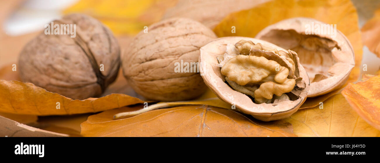 Aliment alimentaire vue vue vue panoramique Vista outlook lookout bol noix Banque D'Images