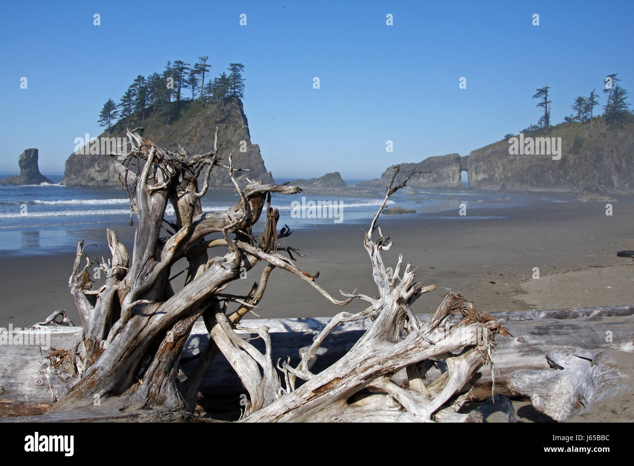 Olympic National Park Banque D'Images