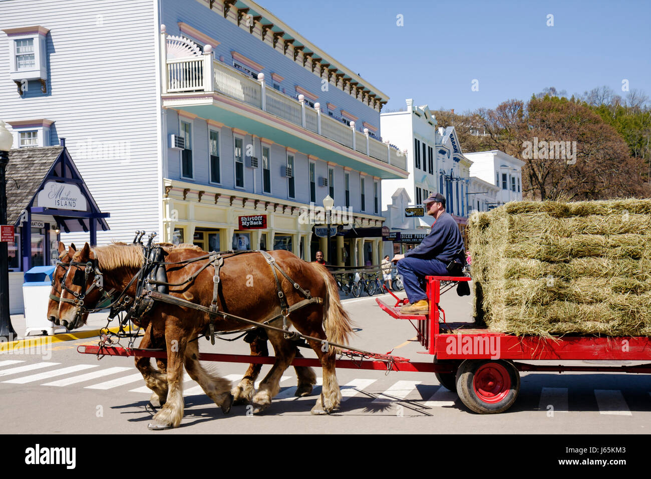 Mackinac Island Michigan, parc national historique Mackinaw, détroit de, lac Huron, rue principale, bâtiment, tirant d'eau, tirant d'eau, wagon, Friésien, balles, foin, ma Banque D'Images