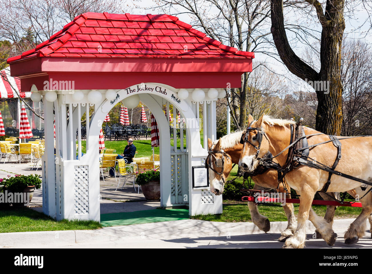 Mackinac Island Michigan, parc national historique Mackinaw, détroits de, lac Huron, Grand, hôtel, début de printemps, chevaux, Friesian, cheval, tirant d'eau, homme hommes Banque D'Images
