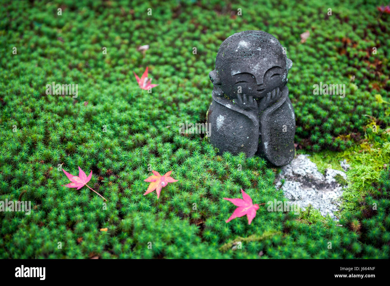 Statue en pierre de Jizo sur sol recouvert par green star moss et feuilles d'érable rouge au cours de l'automne dans un jardin à Enkoji temple de Kyoto, Japon Banque D'Images