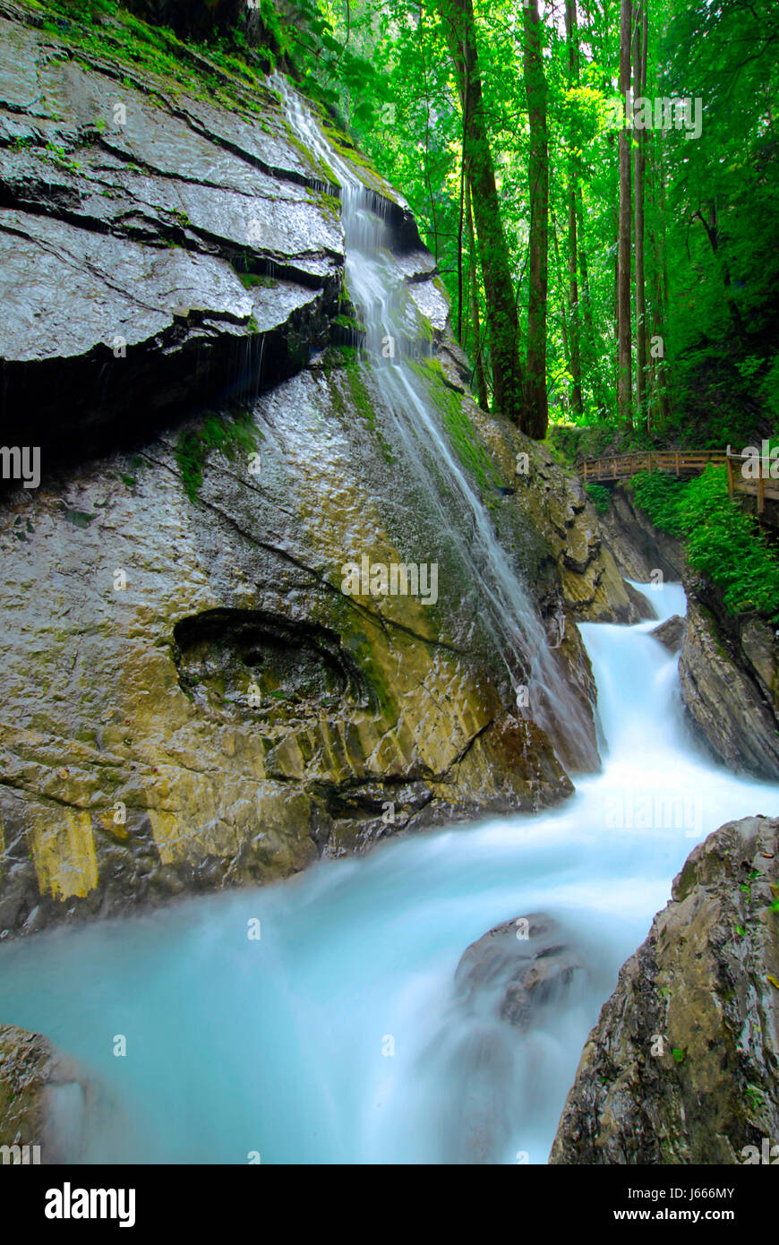 L'eau de la rivière de la forêt du ruisseau Cascade blue motion report déménagement circulation Banque D'Images