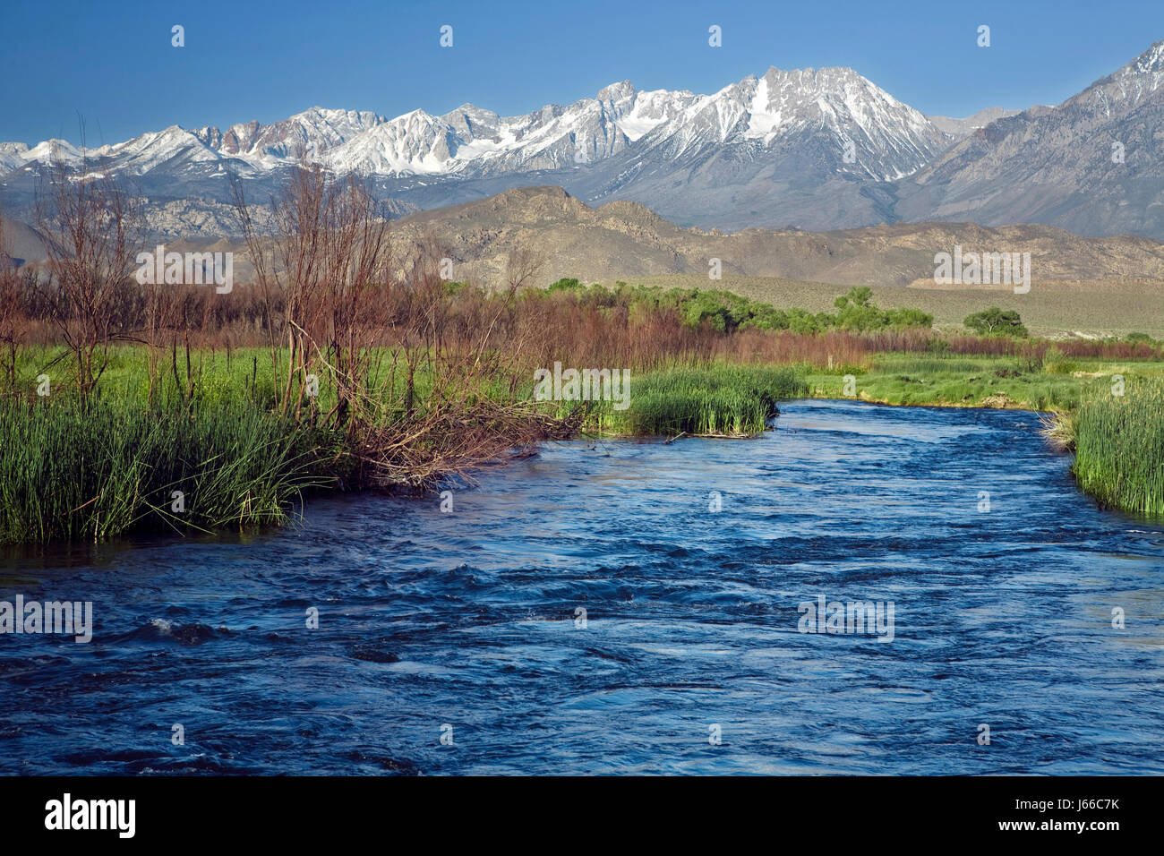 Les montagnes de débit de l'eau de la rivière Roseau bleu vert printemps été summerly usa Banque D'Images