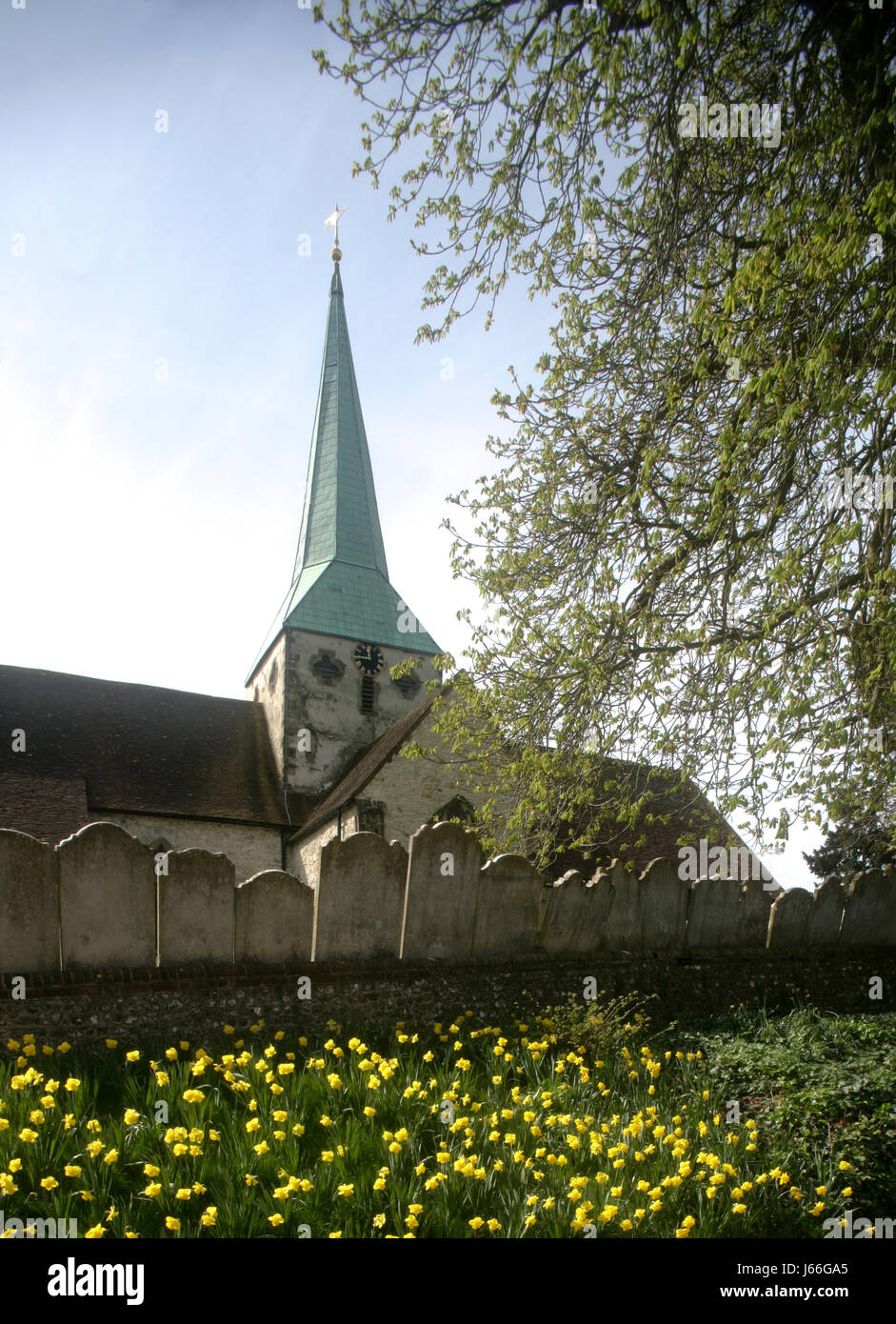 L'église paroissiale de St Mary & St Gabriel, dans le village de South West Sussex,Harting au printemps Banque D'Images