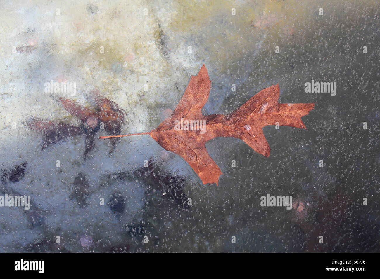 Figé dans le temps Banque D'Images