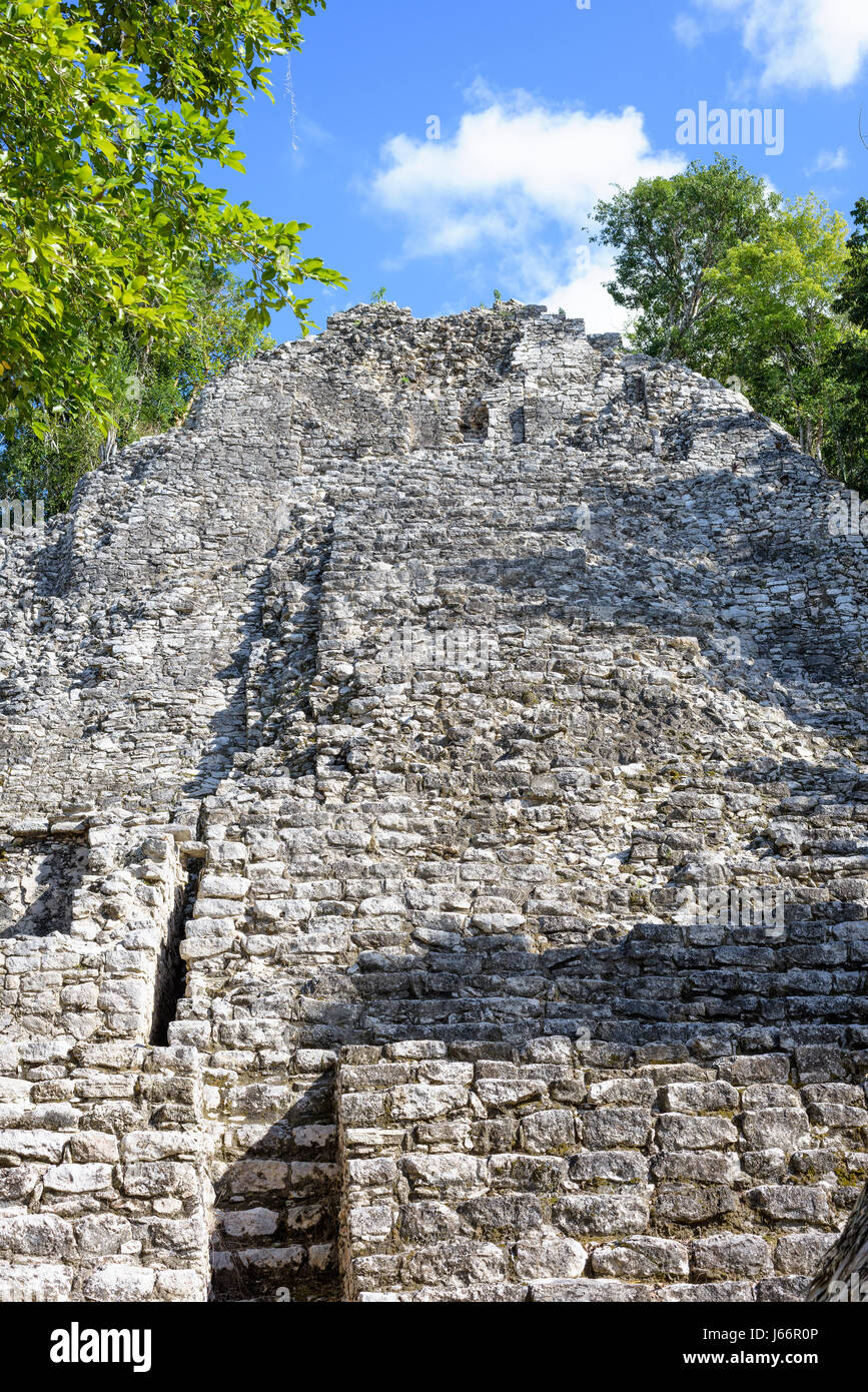 Vue vers le haut d'une ancienne pyramide Maya au Mexique ruines Maya Coba, pas autorisés à monter et avec personne sur elle Banque D'Images