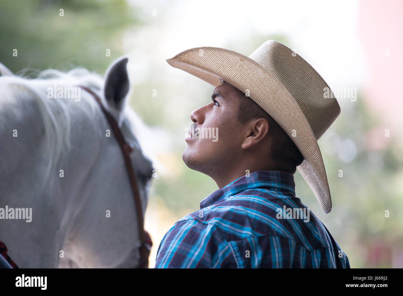 Tulum, Mexique - Mars 16, 2017 : travail de cow-boy avec un jeune cheval. Banque D'Images