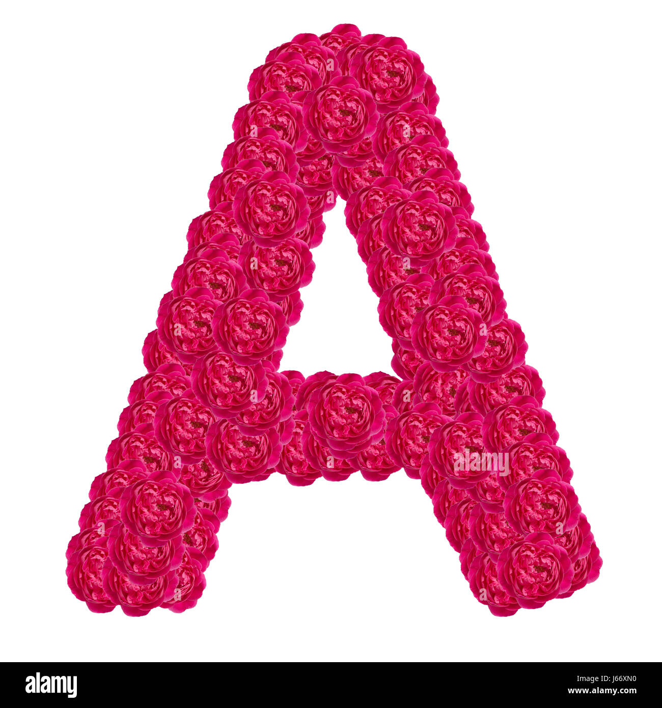 Lettre d'un alphabet de damask rose ABC type de concept que logo isolé sur fond blanc Banque D'Images