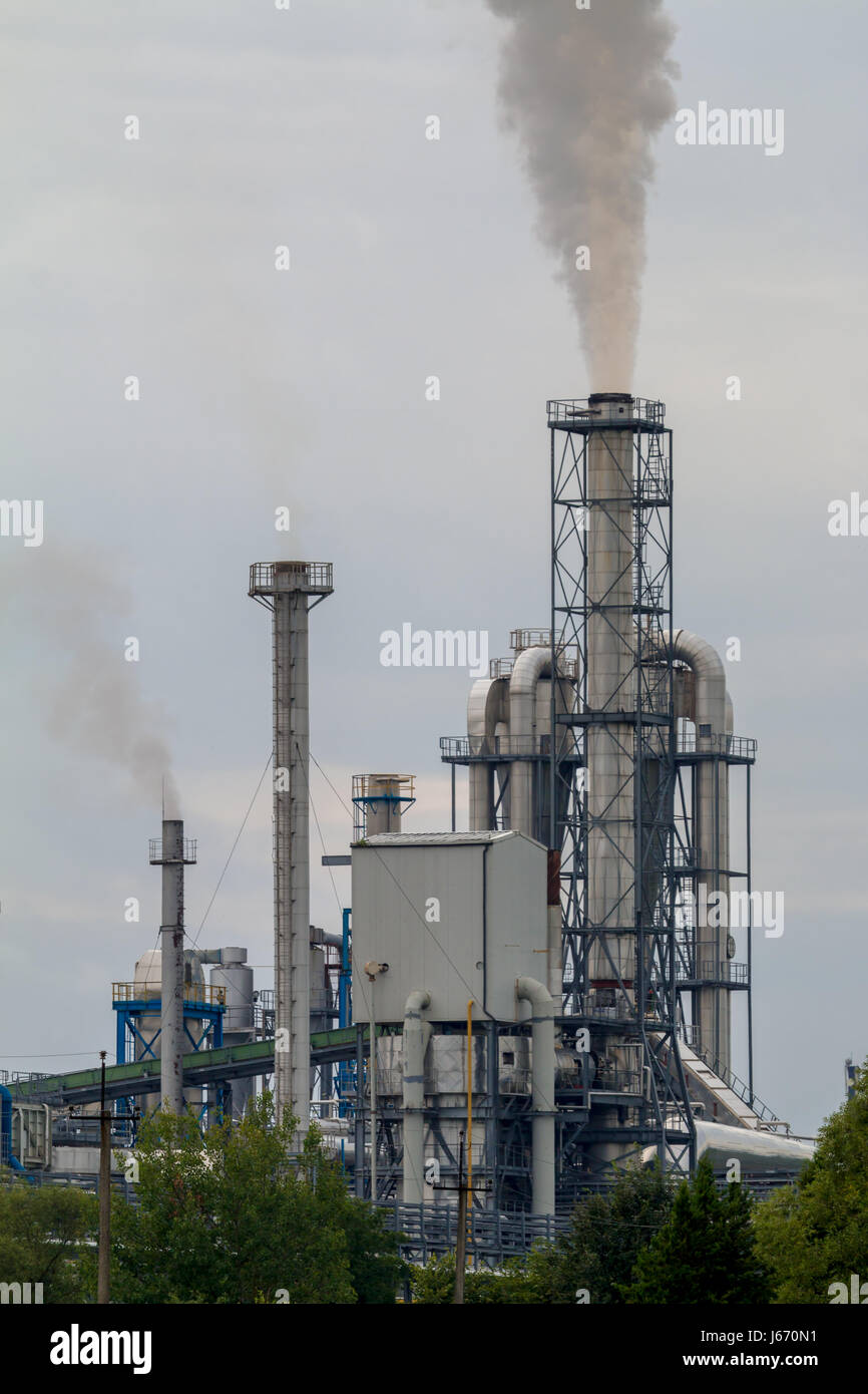 Une petite plante dans la soirée. De la fumée sort d'une grande cheminée Banque D'Images